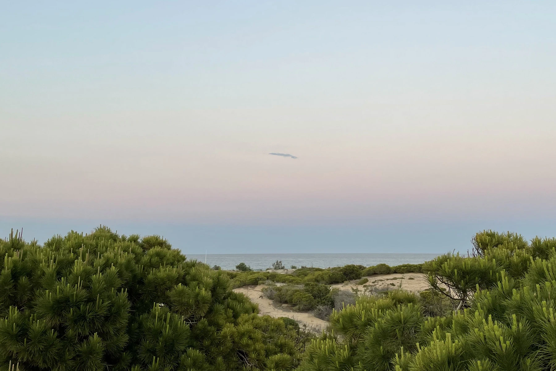 View on the horizon